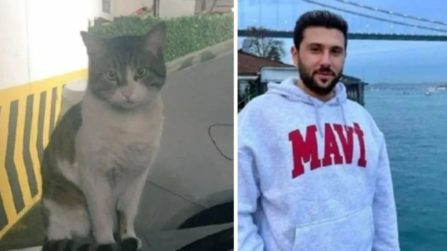 Başakşehir'de sitedeki kediyi işkenceyle öldüren İbrahim Keloğlan hakkında verilen karar kaldırıldı