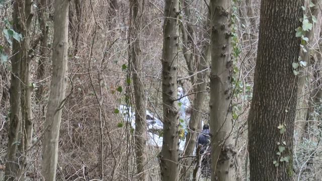 Sarıyer'de çıplak halde ağaca bağlanmış erkek cesedi bulundu