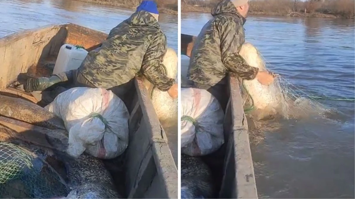 Trakyalı vatandaş, nehirden devasa büyüklükte yayın balığı çekti