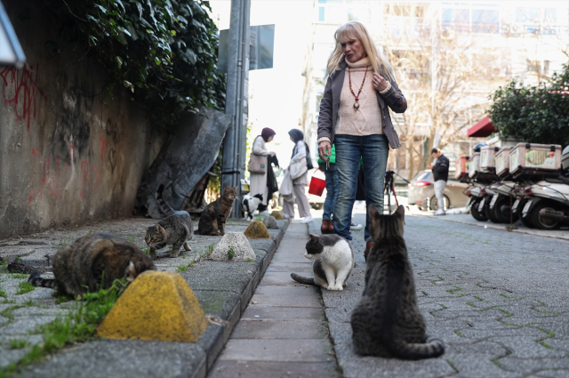 Ünlü ikizler Meral ve Zuhal kardeşler, Kadıköy Moda sokaklarında 150 kediye bakıyor