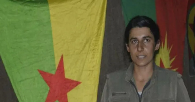 MİT, PKK'nın sözde sorumlusu Gülsün Silgir'i etkisiz hale getirdi