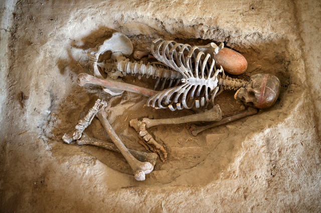 Çatalhöyük'teki kazıda 8 bin 600 yıllık ekmek bulundu