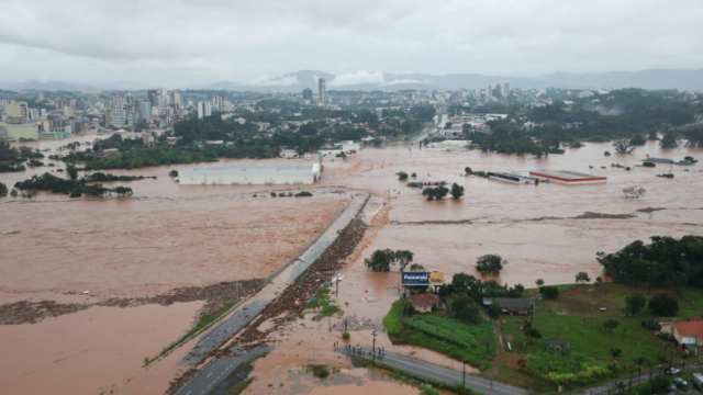 Brezilya'daki sel felaketinde atlar hayatta kalabilmek için çatılara sığındı